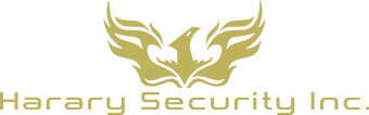 security consulting in mexico